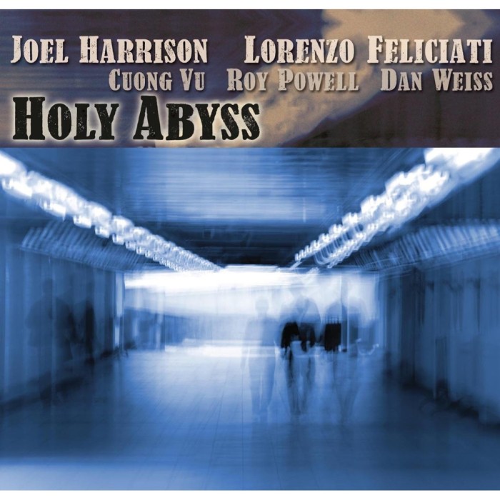 Joel Harrison & Lorenzo Feliciati - Holy Abyss