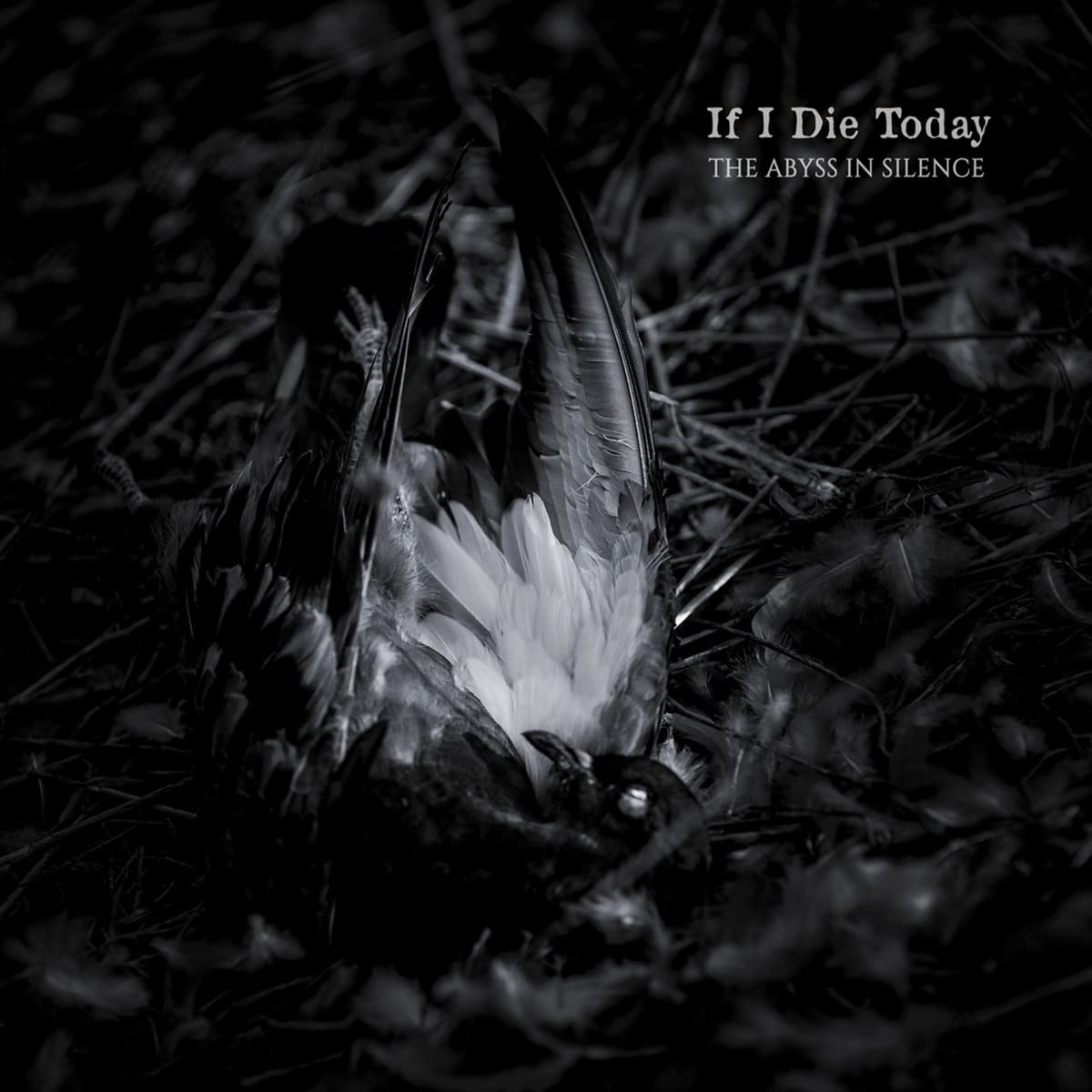 If I Die Today - The Abyss In Silence