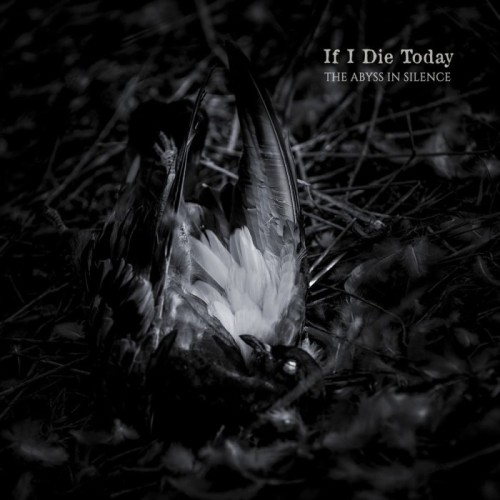 If I Die Today - The Abyss In Silence