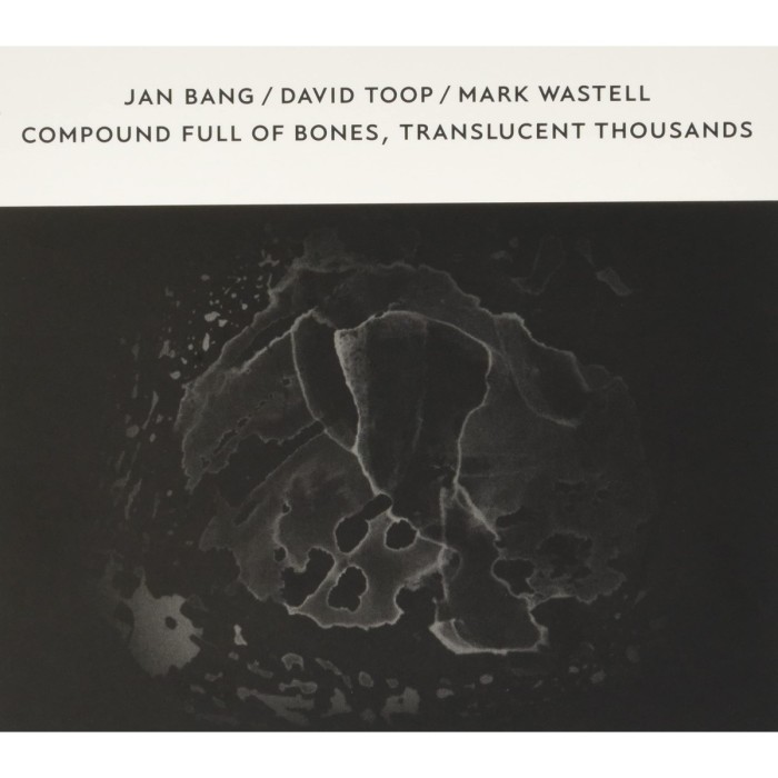 Jan Bang - Compound Full Of Bones, Translucent Thousands