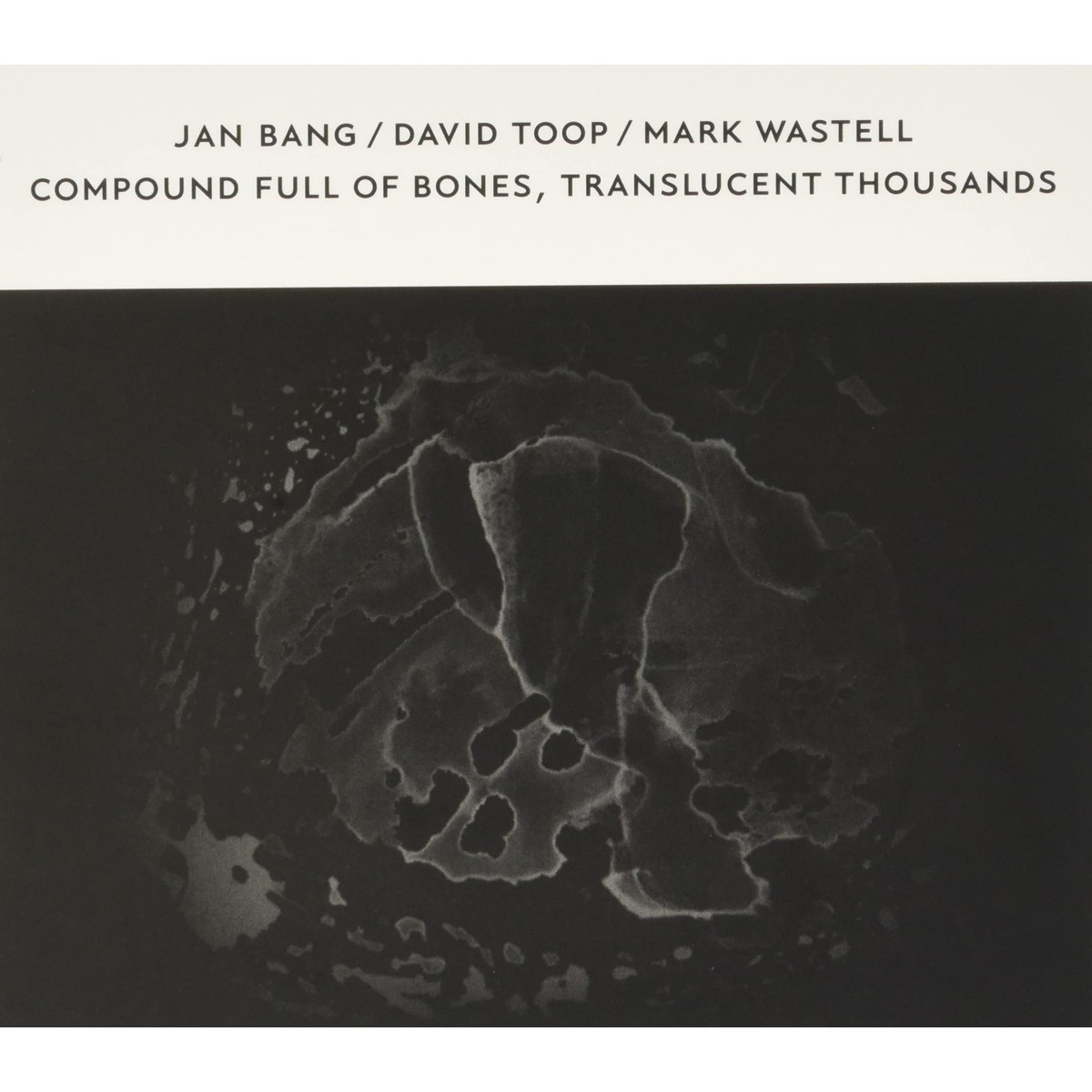 Jan Bang - Compound Full Of Bones, Translucent Thousands