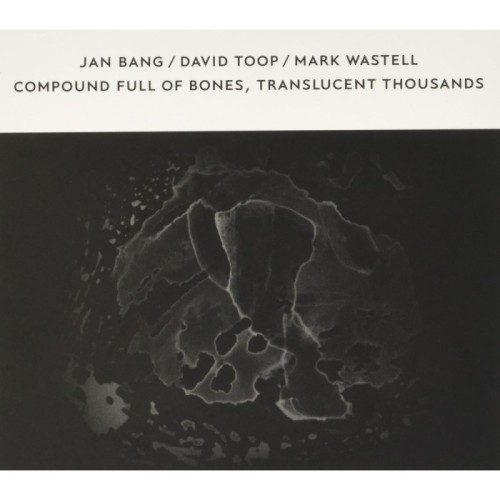 Jan Bang - Compound Full Of Bones, Translucent Thousands