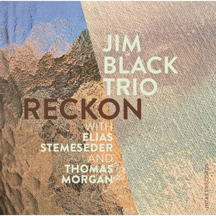 Jim Black Trio - Reckon