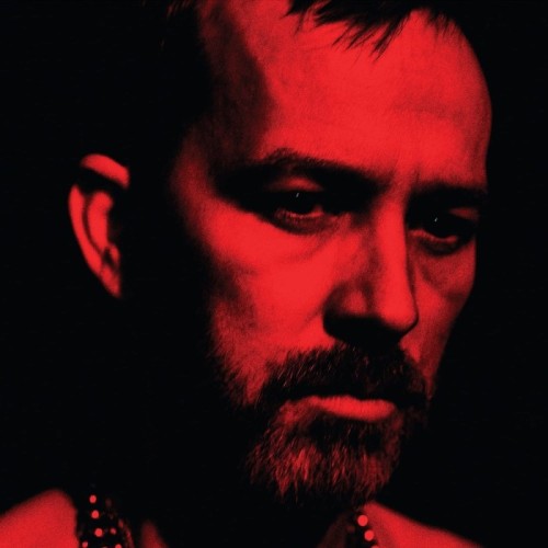 Duquette Johnston - Social Animals