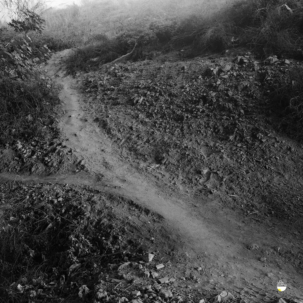 Luís Lopes - Emmentes