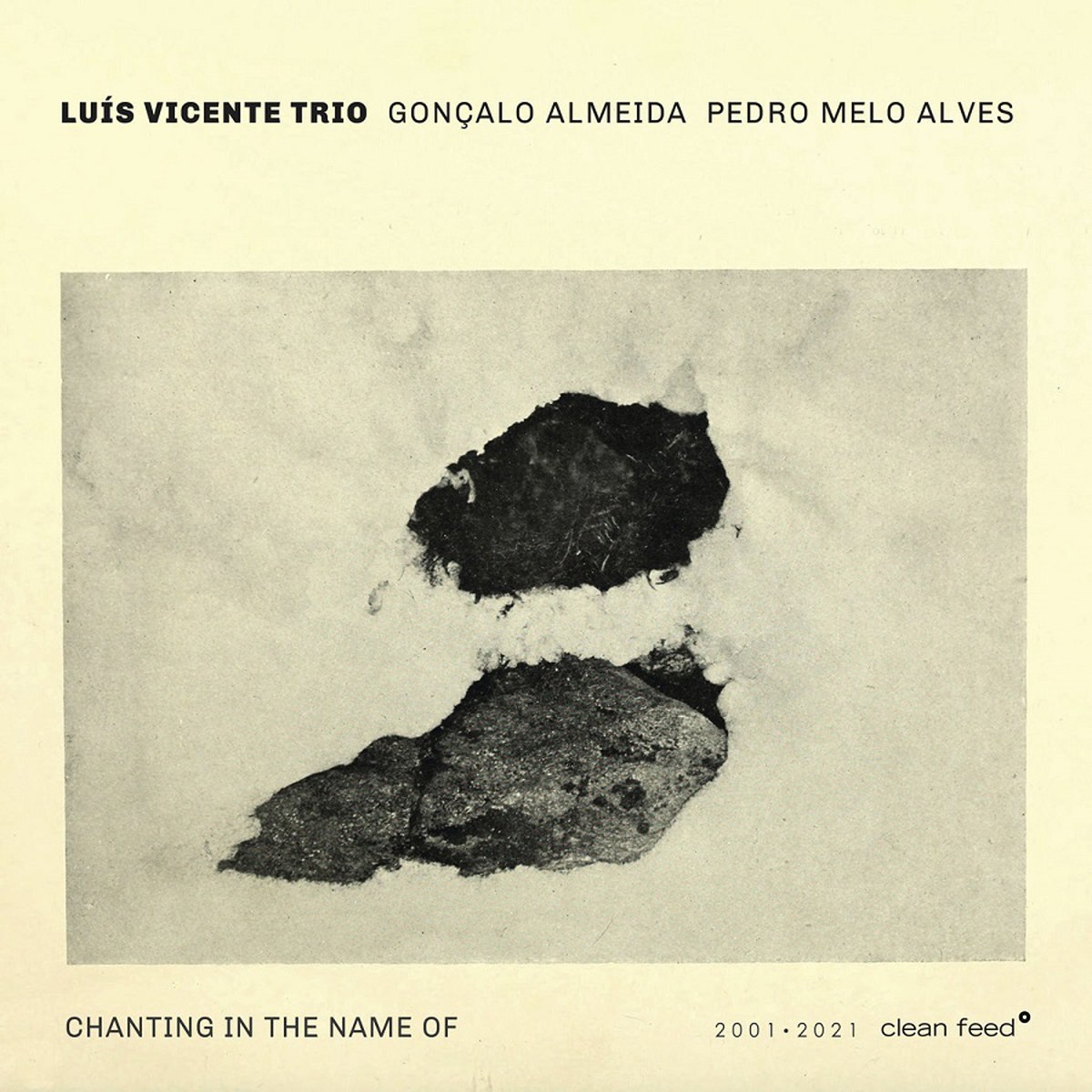 Luis Vicente Trio - Chanting In The Name Of