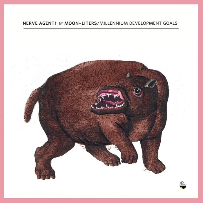 Moon-Liters & Millennium Development Goals - Millennium Development Goals