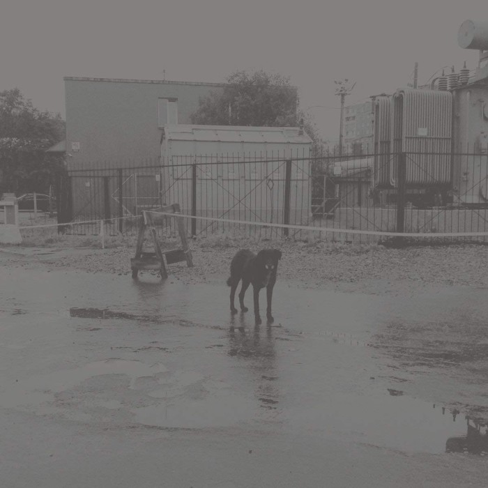 Nivhek - After Its Own Death / Walking In A Spiral Towards The House