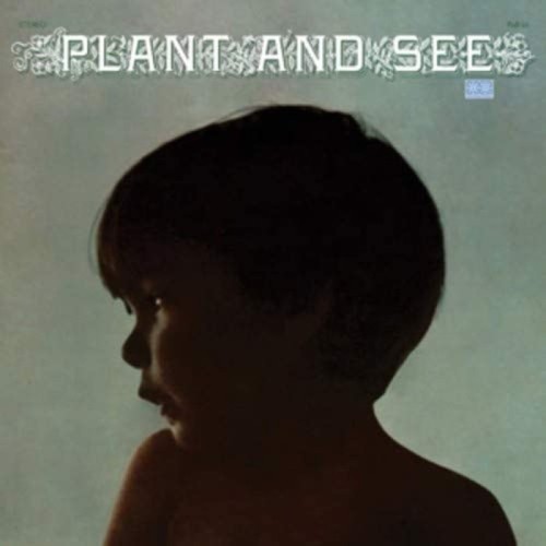 Plant And See - Plant And See
