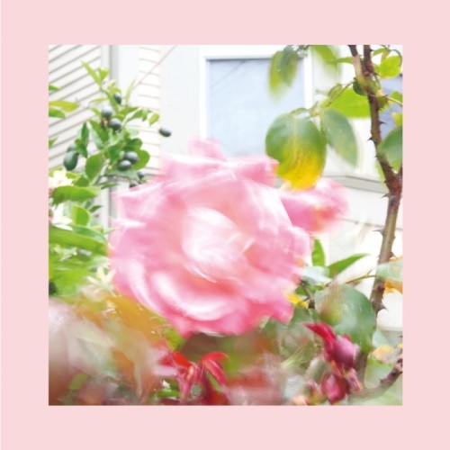 The Reds, Pinks & Purples - Summer At Land's End (Pastel Green Vinyl)