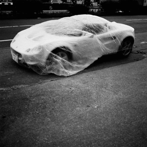 Serpente - Dias Da Aranha