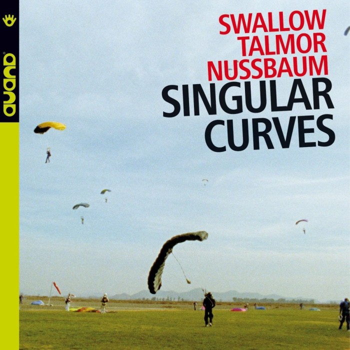 Steve Swallow & Ohad Talmor & Adam Nussbaum - Singular Curves