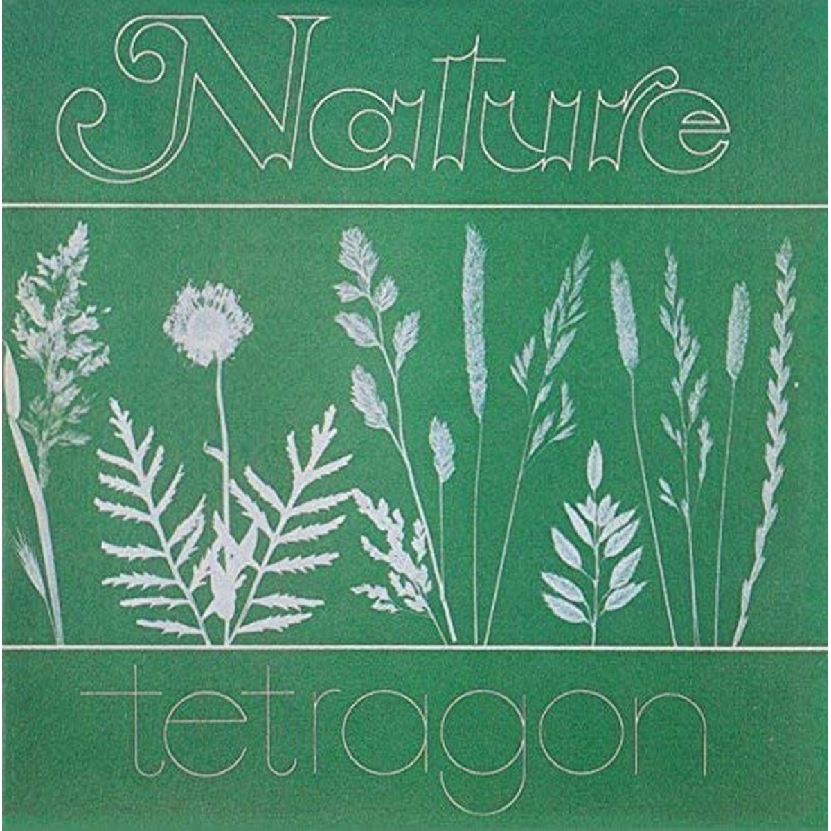 Tetragon - Nature