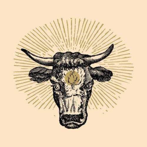 Torozebu - Torozebu
