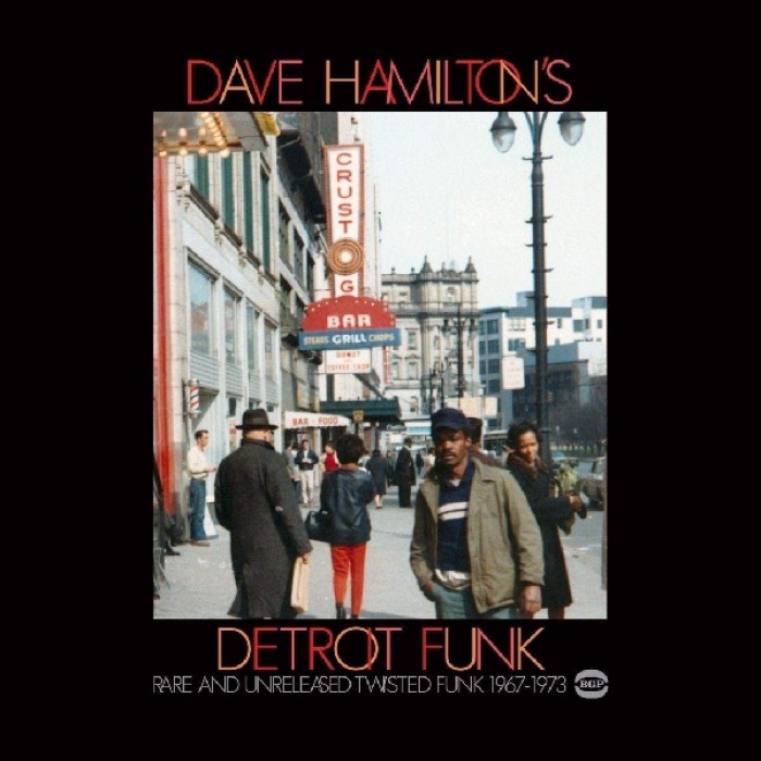 Various Artists - Dave Hamilton's Detroit Funk (Rare And Unreleased Twisted Funk 1967-1975)