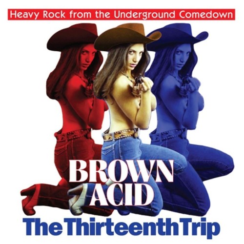 Various Artists - Brown Acid: The Thirteenth Trip (Heavy Rock From The Underground Comedown)