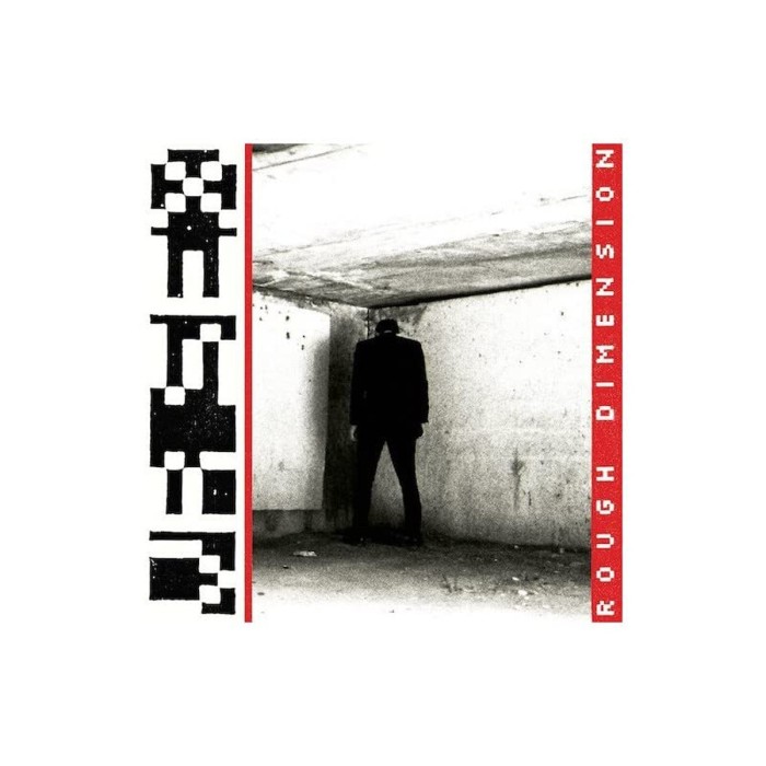 VR Sex - Rough Dimension (Grey Vinyl)