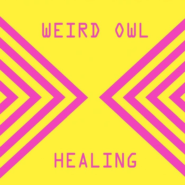 Weird Owl - Healing