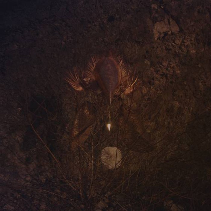 Bongbongbeerwizards - Ampire (Neon Green Splatter Black Vinyl)