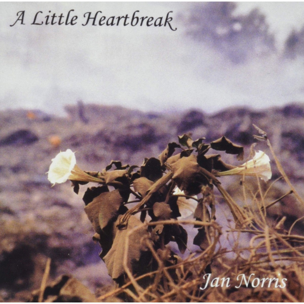 Jan Norris - A Little Heartbreak