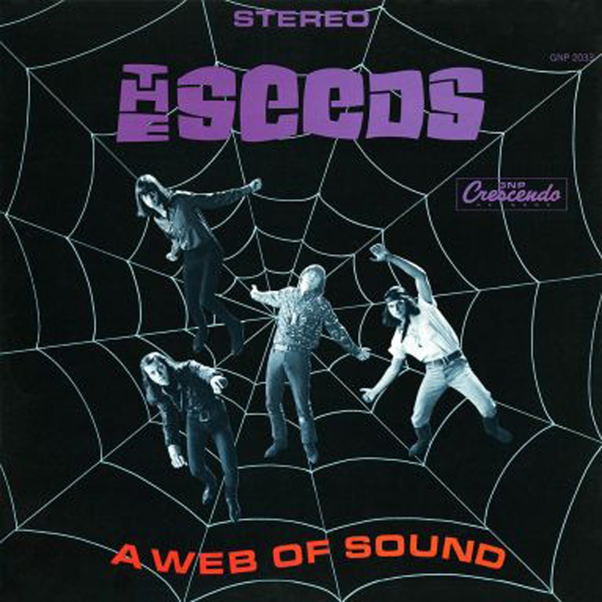 Seeds - A Web Of Sound