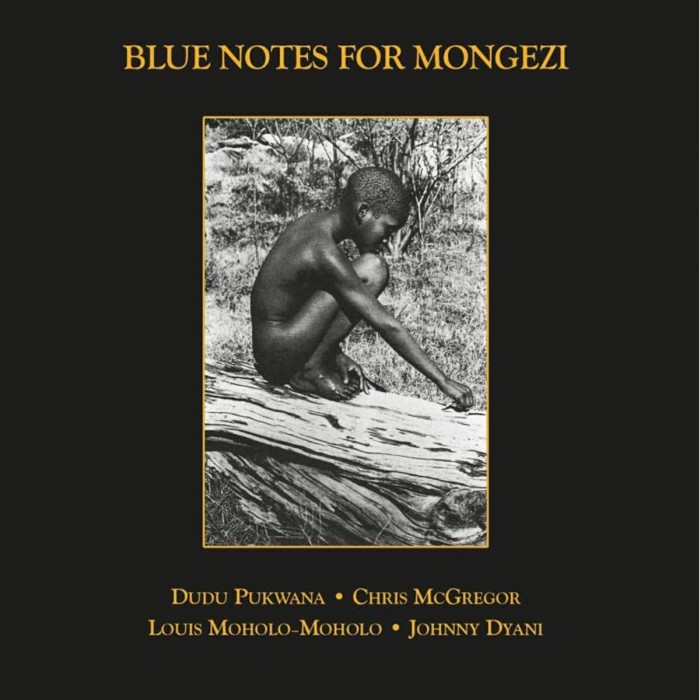 Blue Notes - Blue Notes For Mongezi
