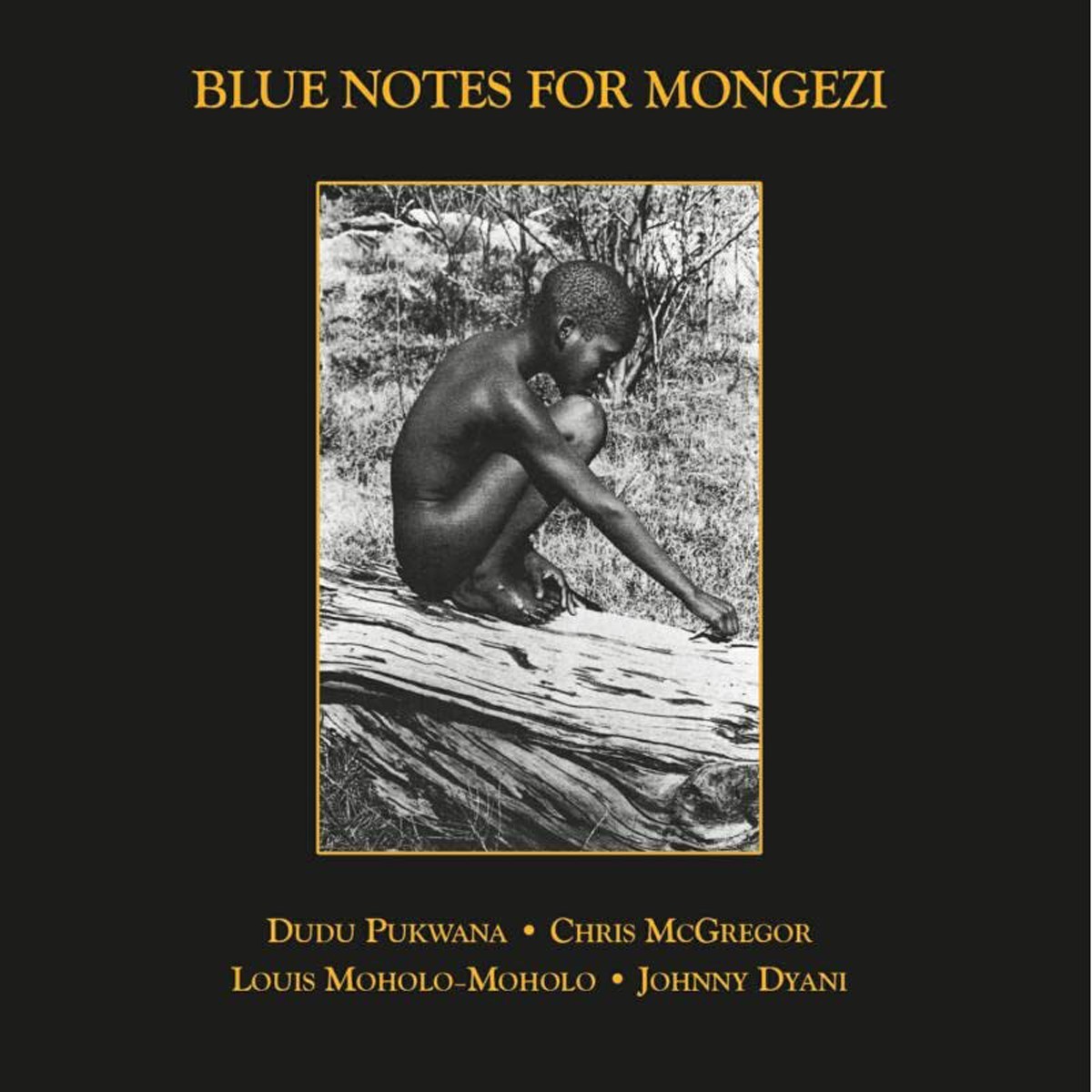 Blue Notes - Blue Notes For Mongezi