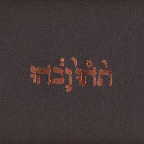 Godspeed You! Black Emperor - Slow Riot For New Zerø Kanada E.P.