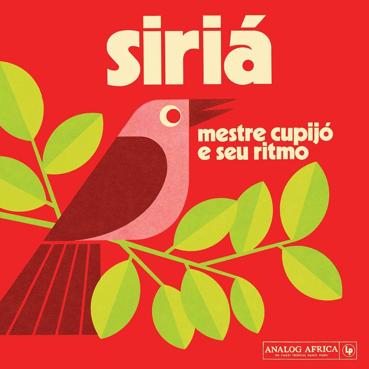 Mestre Cupijo - Siria