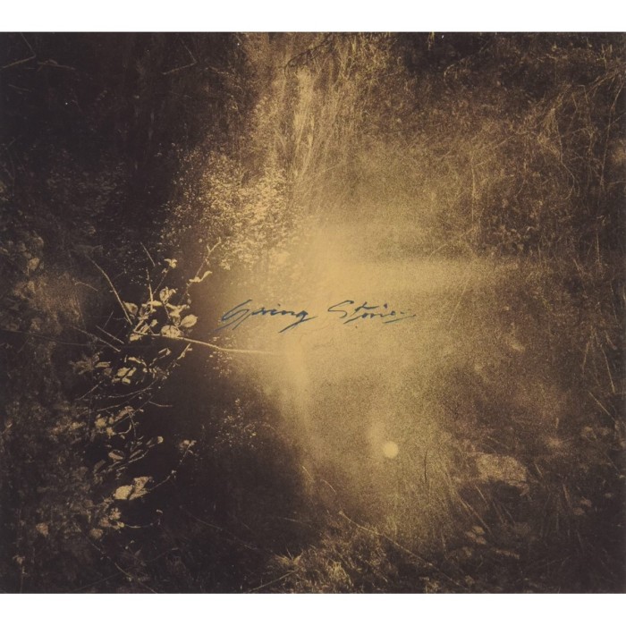 Mondkopf - Spring Stories