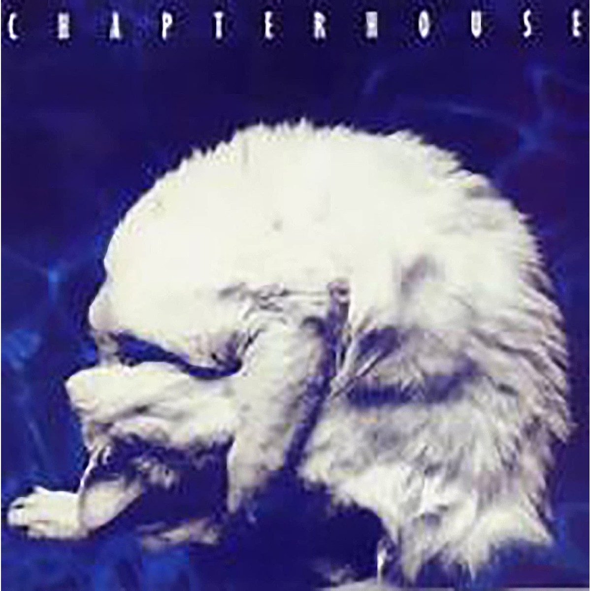 Chapterhouse - Whirlpool