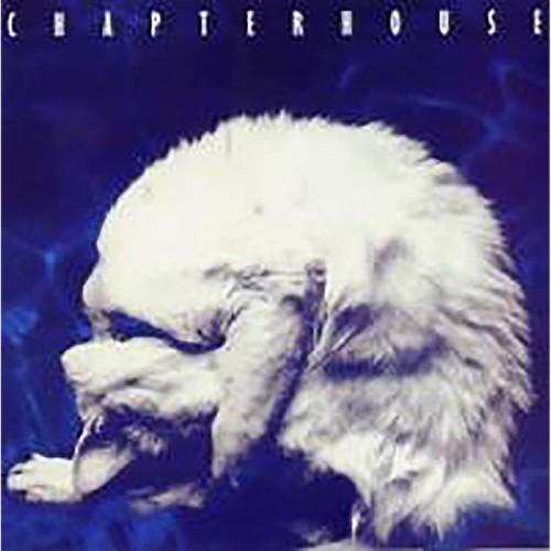 Chapterhouse - Whirlpool