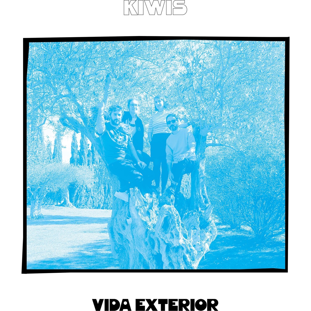 Kiwis - Vida Exterior