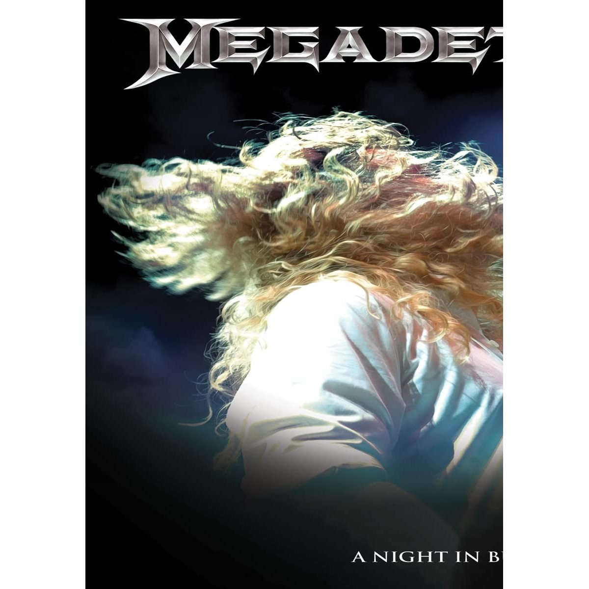 Megadeth - A Night In Buenos Aires