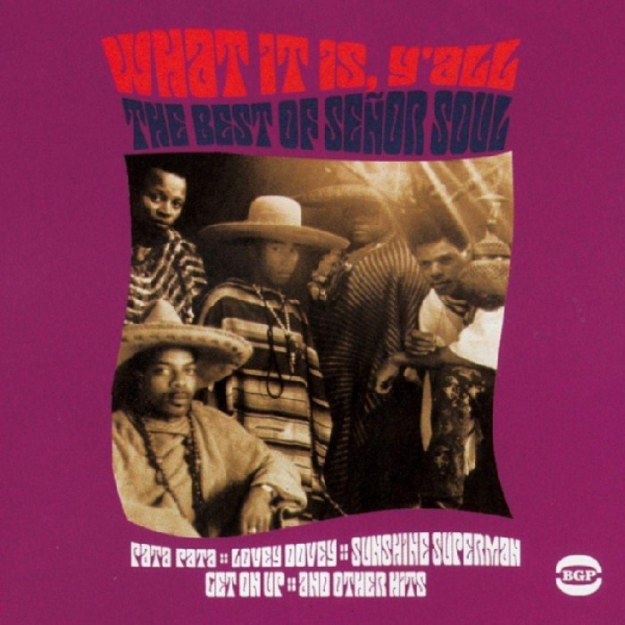 Senor Soul - What It Is Y All - The Best Of