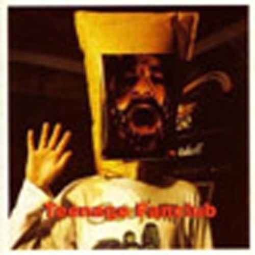 Teenage Fanclub - Deep Fried Fanclub