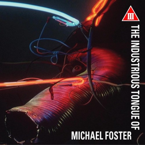 Michael Foster - The Industrious Tongue