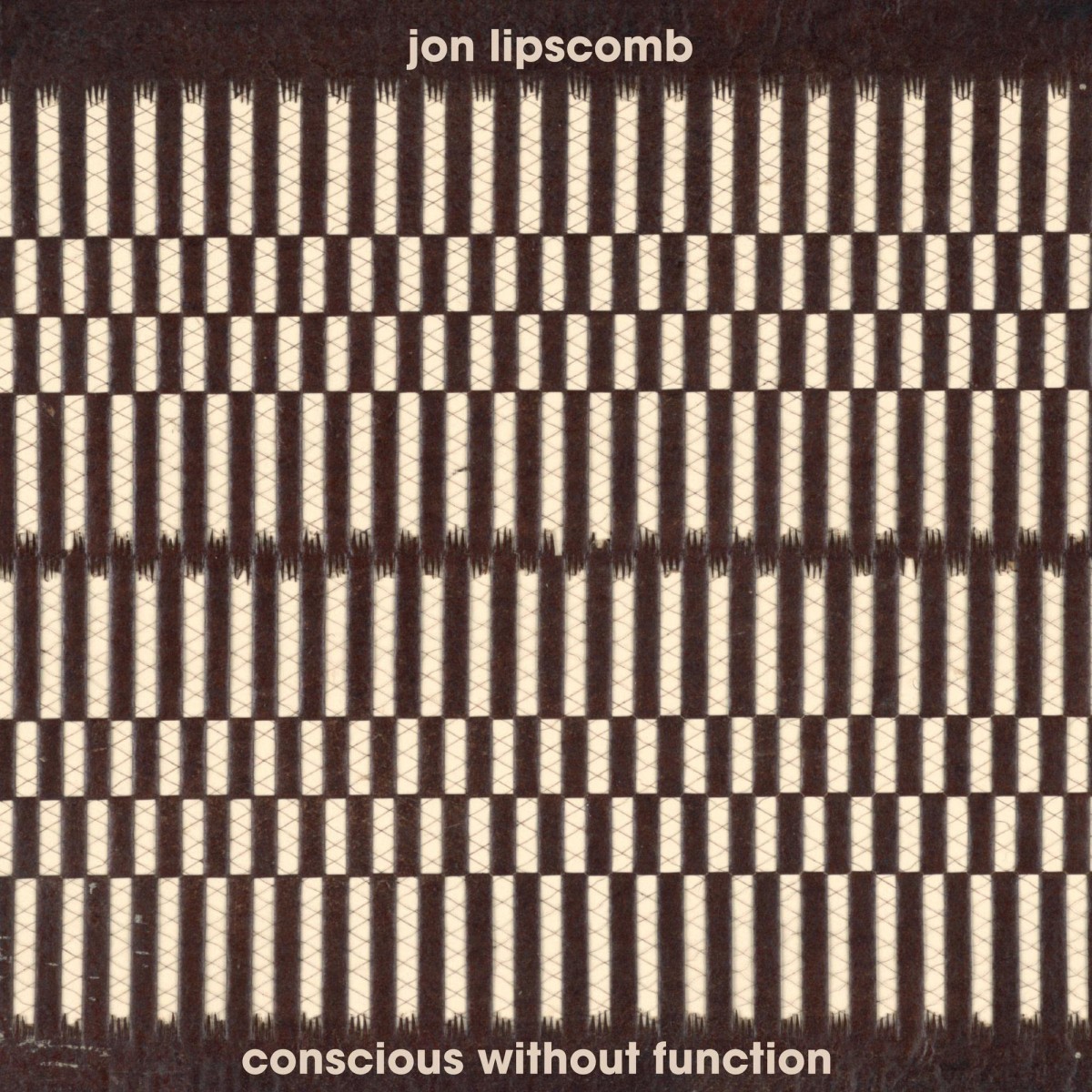 John Lipscomb - Conscious Without Function