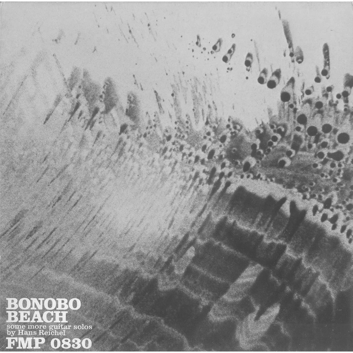 Hans Reichel - Bonobo Beach