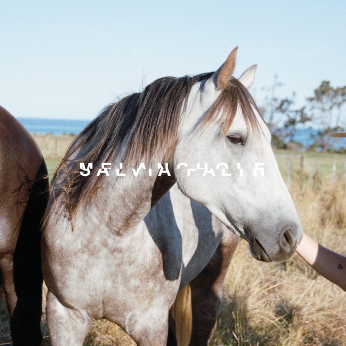 Salvia Palth - Melanchole (Double Mint Vinyl)