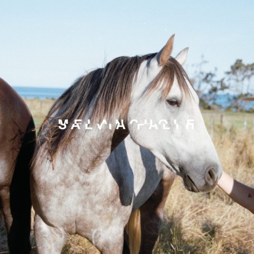 Salvia Palth - Melanchole (Double Mint Vinyl)