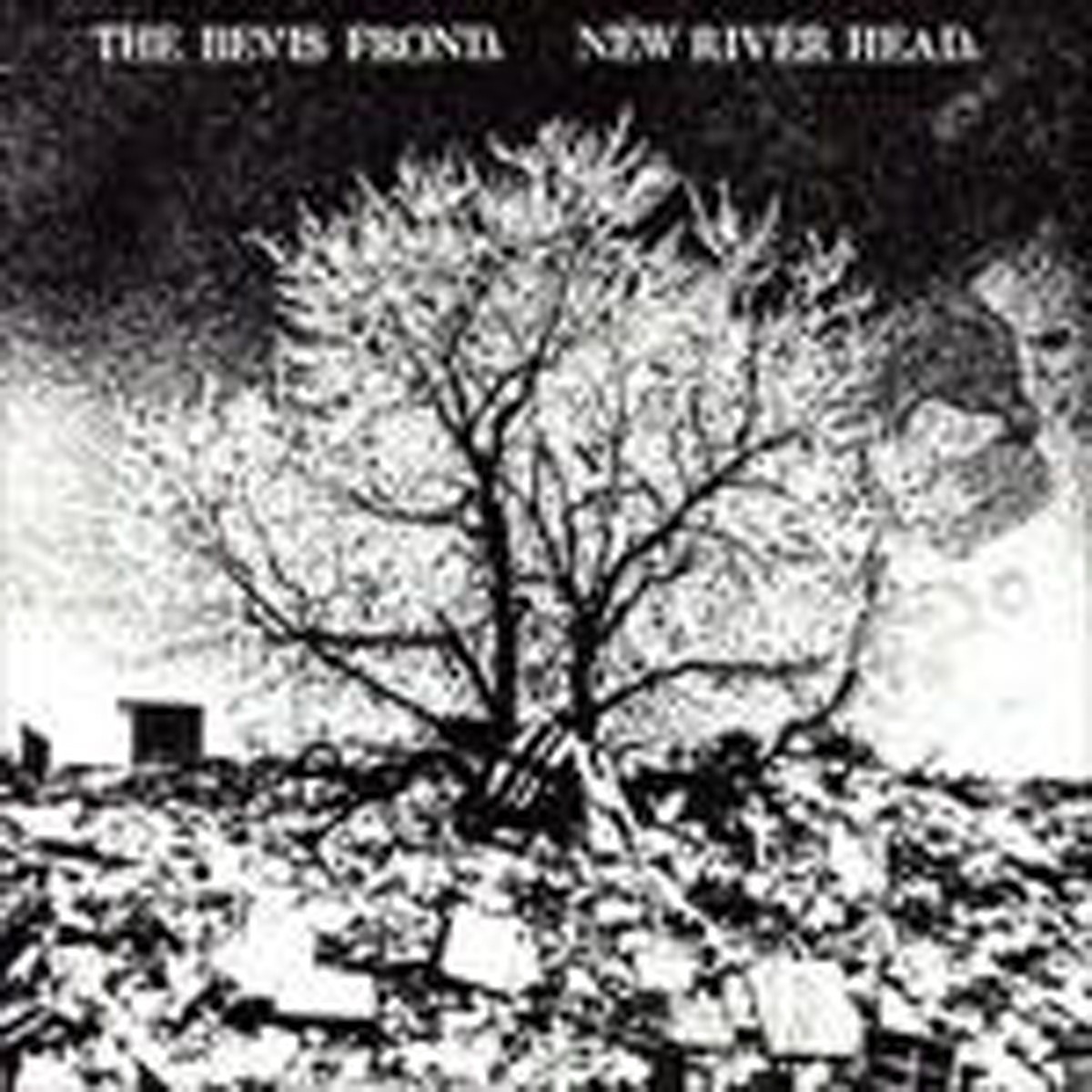 Bevis Frond - New River Head
