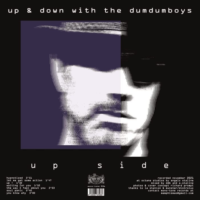 Dum Dum Boys - Up & Down With The Dum Dum Boys