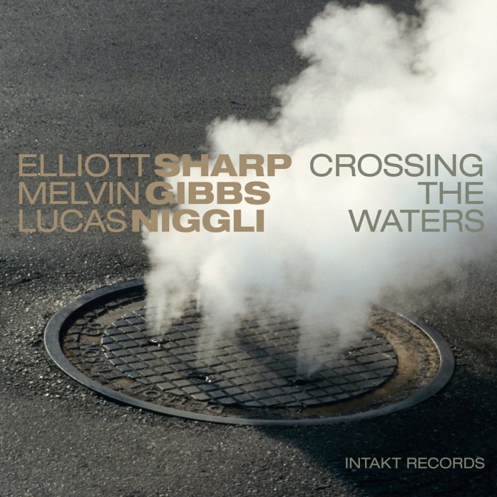 Elliott Sharp & Lucas Niggli & Melvin Gibbs - Crossing The Waters