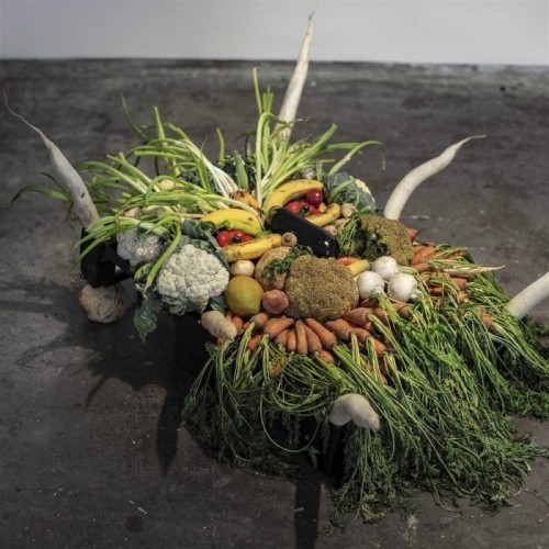 Jesse Osborne-Lanthier - Left My Brain @ Can Paixano (La Xampanyeria) - Original Soundtrack