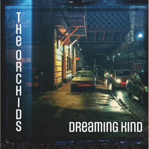 Orchids - Dreaming Kind