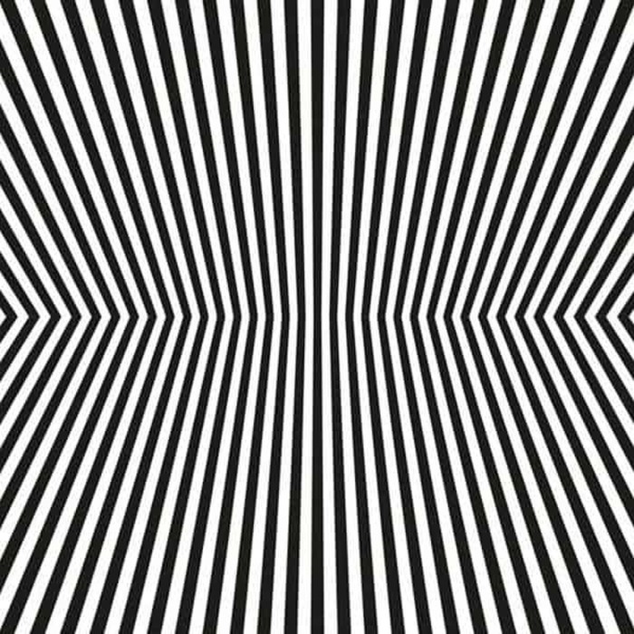 Vacant Lots - Damage Control