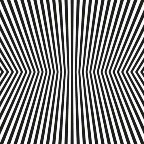 Vacant Lots - Damage Control