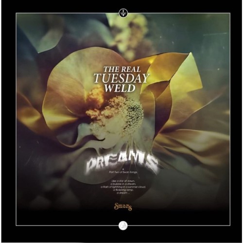 The Real Tuesday Weld - Dreams (Translucent Gold Vinyl)