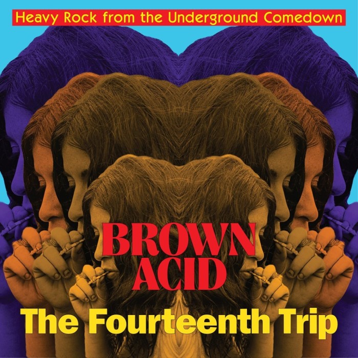 Various Artists - Brown Acid - The Fourteenth Trip